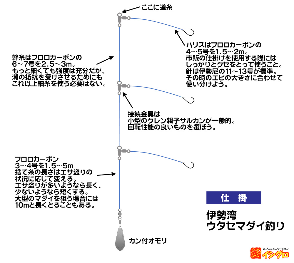 ダイワ 伊勢湾 真鯛攻め ウタセエビ釣り専用 270I www.krzysztofbialy.com